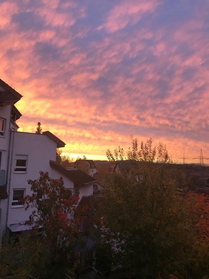 Kleine Wohnung Im Gruenen Дрезден Экстерьер фото